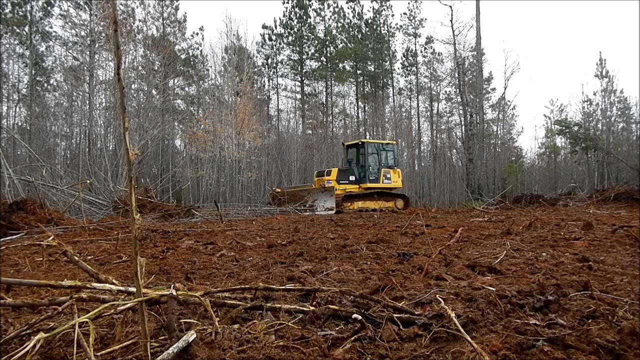 Тех карта валка деревьев и корчевка пней